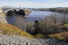 Saint John (New Brunswick) Trolley Tour cruise excursion